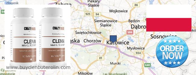 Where to Buy Clenbuterol Online Katowice, Poland