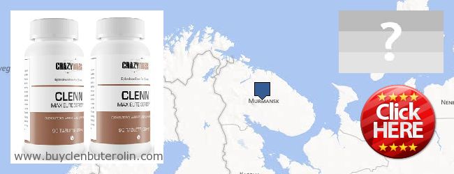 Where to Buy Clenbuterol Online Murmanskaya oblast, Russia