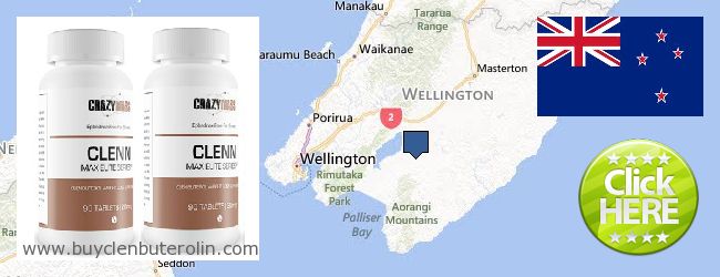 Where to Buy Clenbuterol Online South Wairarapa, New Zealand